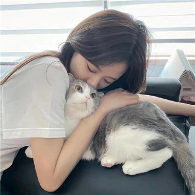 真的不骗你2